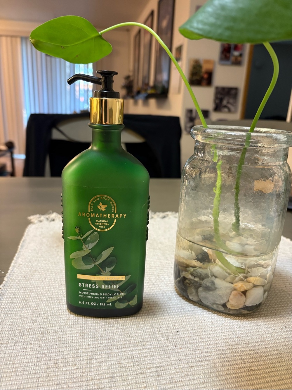 therapy Stress Relief Moisturizing Body Lotion - Green